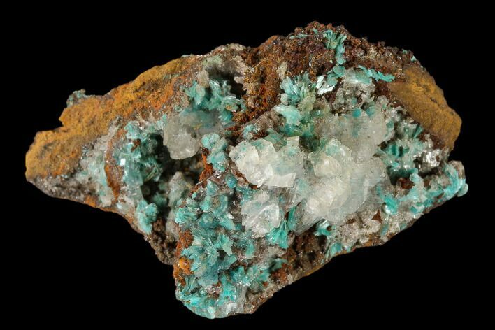 Calcite & Fibrous Aurichalcite Crystal Association - Mexico #119191